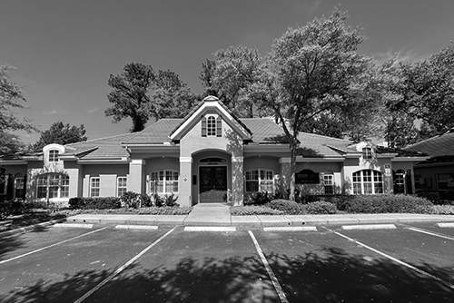 carrollwood real estate office photo